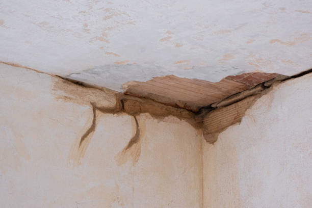 Best 24-hour water damage restoration  in Canterwood, WA