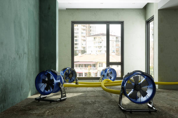 Best 24/7 water damage repair  in Canterwood, WA